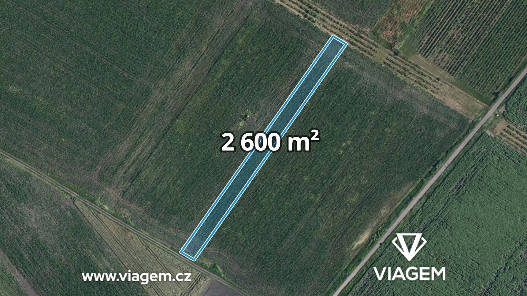 Prodej pole 2 600 m²