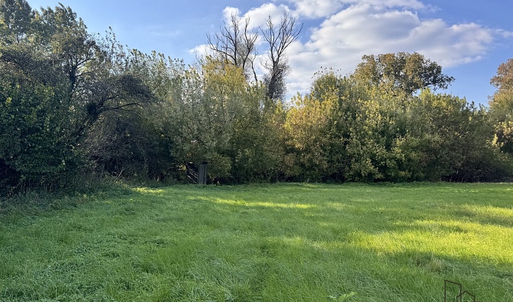 Prodej louky 3 793 m², Rohatec – náhled fotky 3