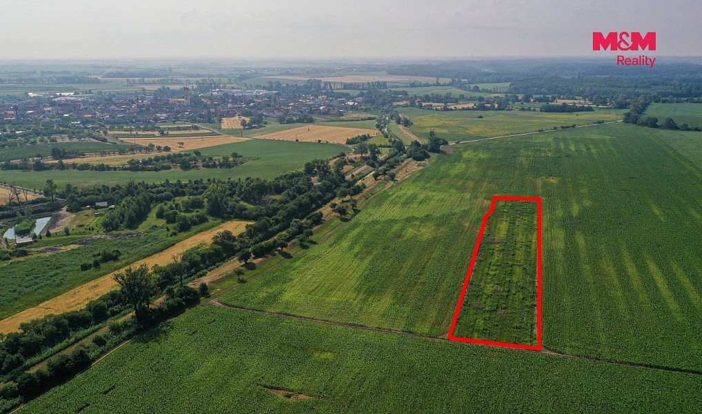 Prodej pole 9 227 m², Podivín – náhled fotky 9