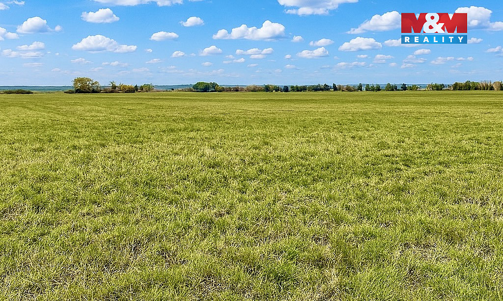 Prodej pole 9 779 m² – pohled 2