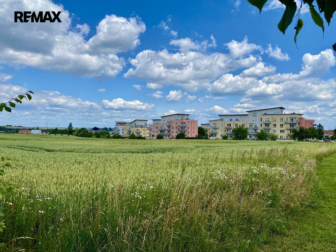 Prodej pole 2 739 m² – fotografie 2