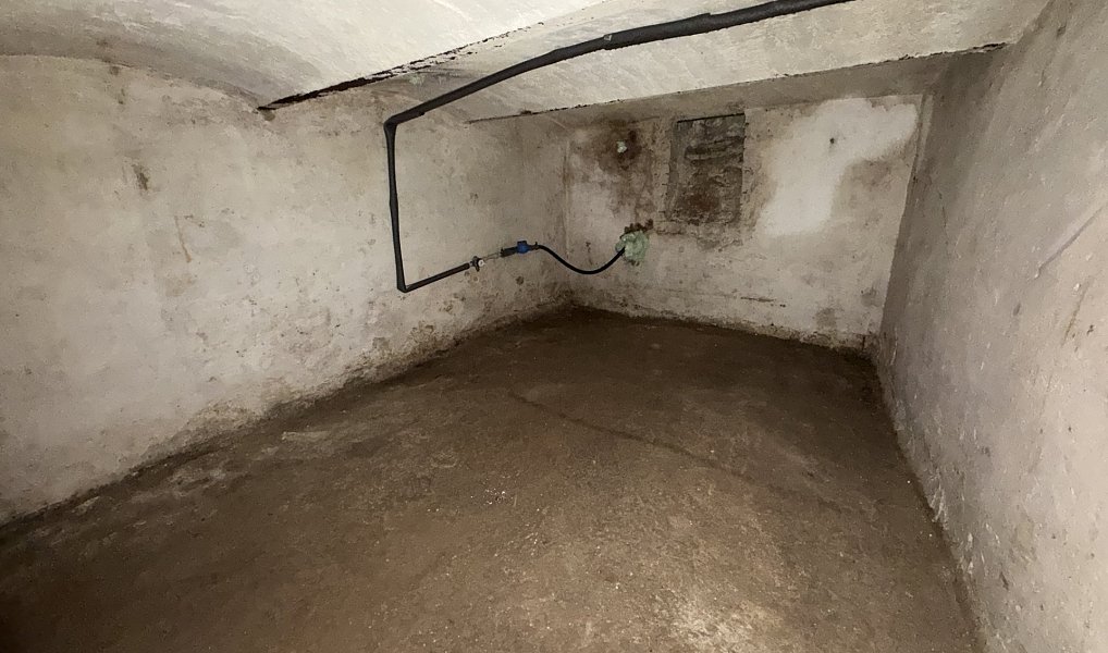 Prodej domu 350 m² s pozemkem 1 133 m², Velký Týnec – náhled fotky 22