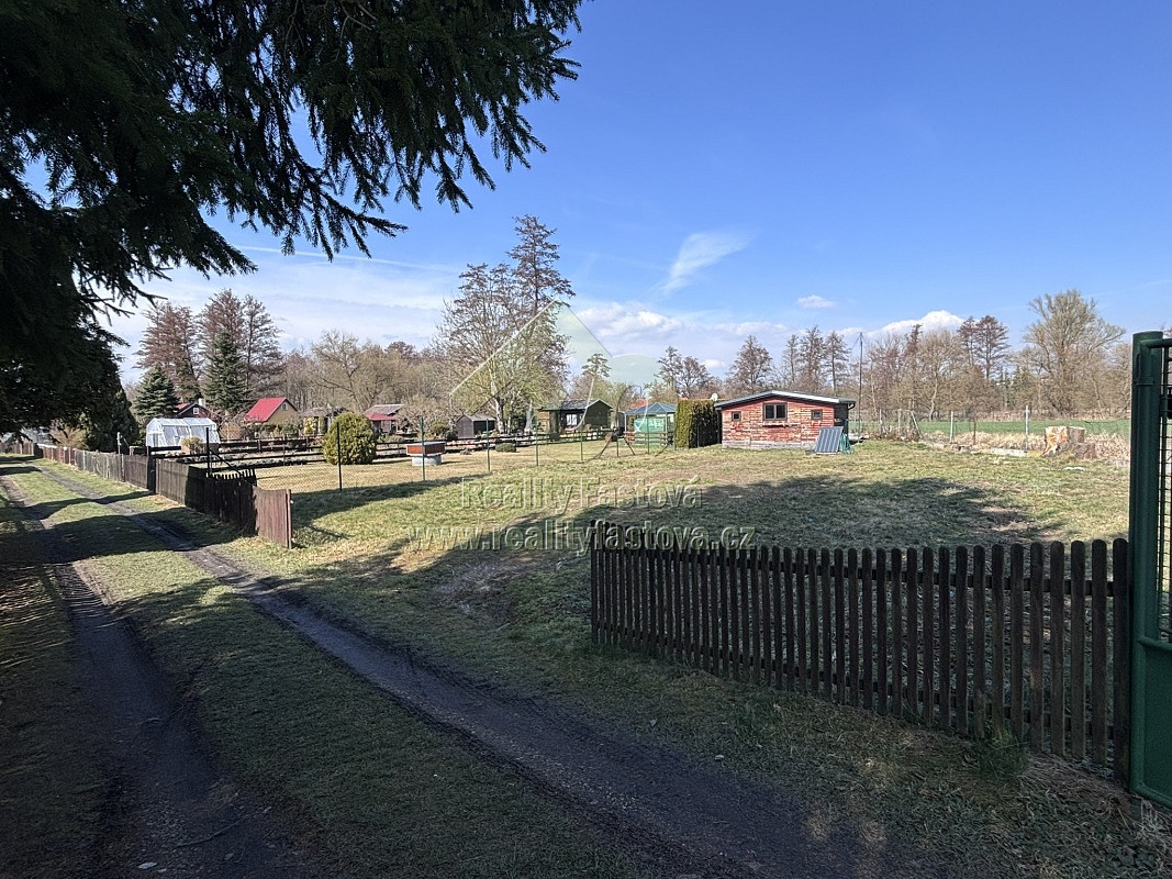 Fotka 11 z 16