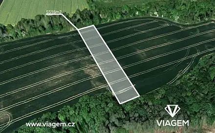Prodej pole 1 379 m², Bechlín, okres Litoměřice