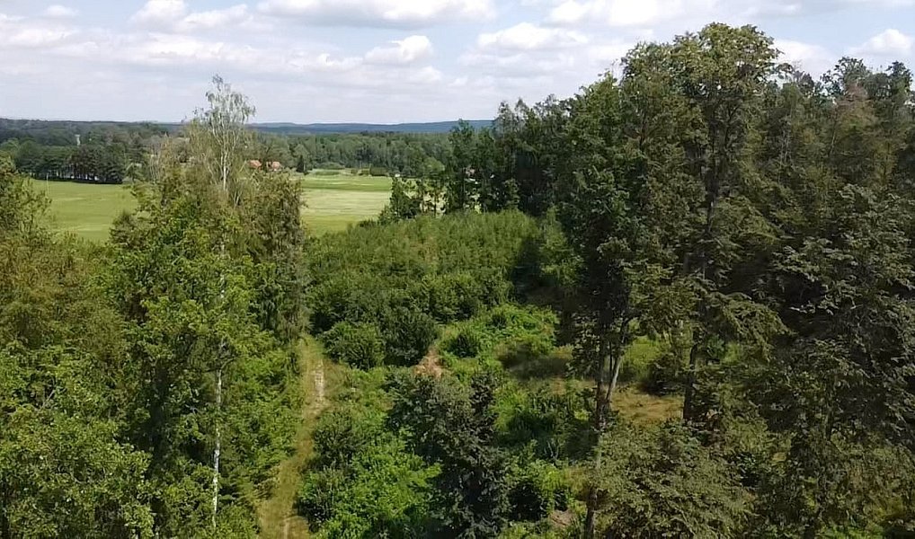 Prodej pole 130 000 m², Chlum u Třeboně – náhled fotky 2