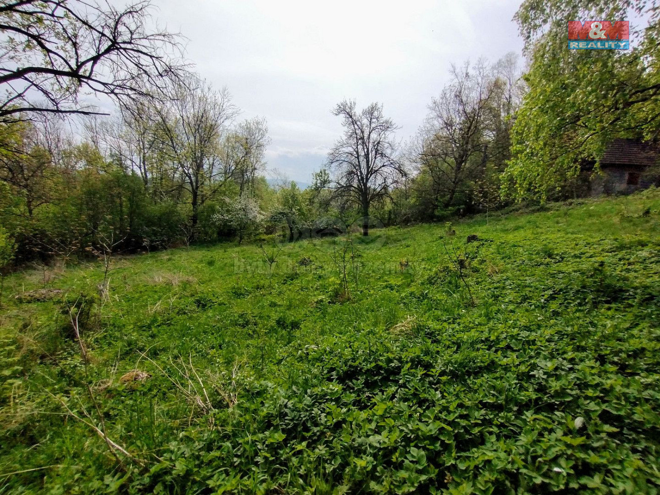 Prodej chaty/chalupy 38 m² s pozemkem 2 730 m² — photo 5