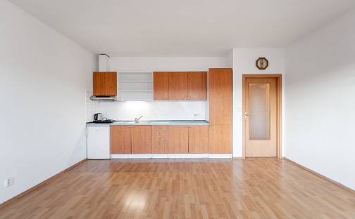 Pronájem bytu 2+kk 58 m², Trýbova, Brno - Staré Brno