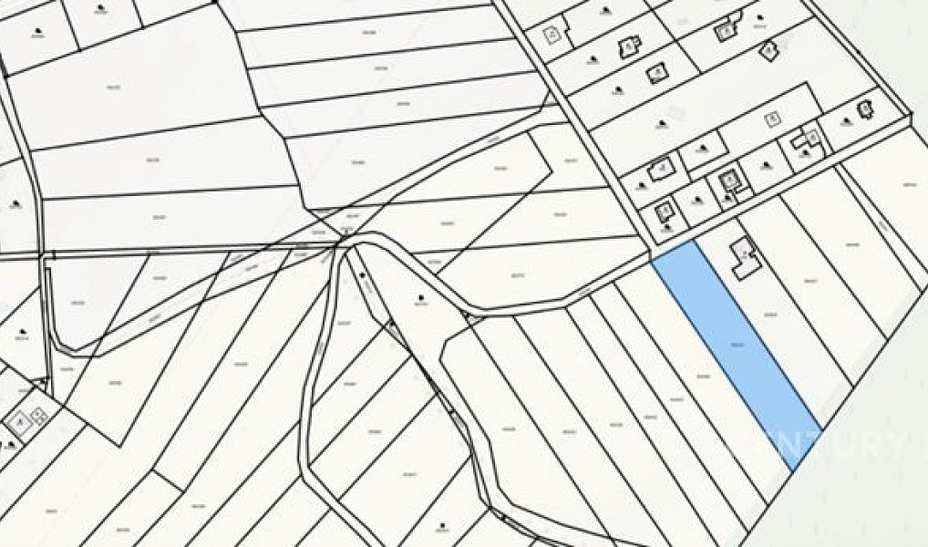 Prodej stavebního pozemku 3 256 m², Olšany – náhled fotky 6