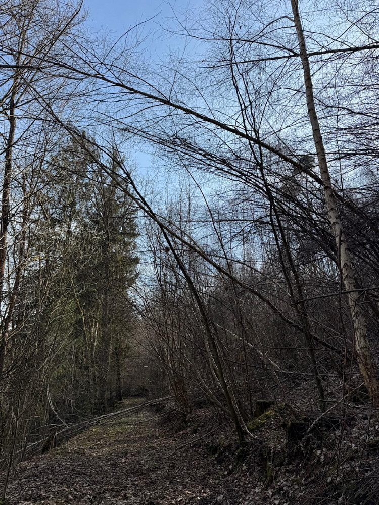 Fotka 14 z 20