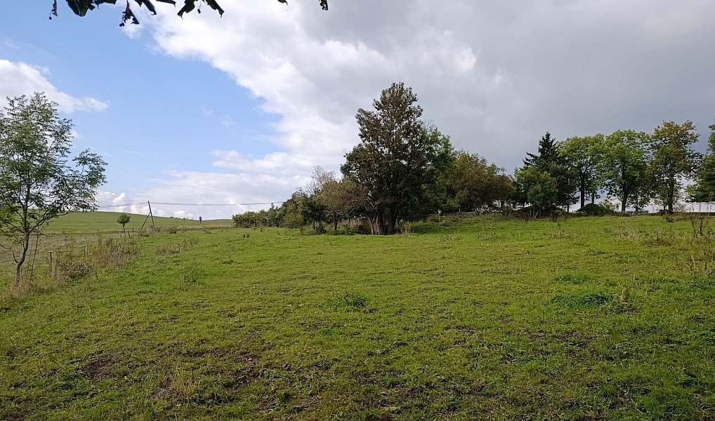 Prodej stavebního pozemku 3 539 m², Lovečkovice – náhled fotky 16
