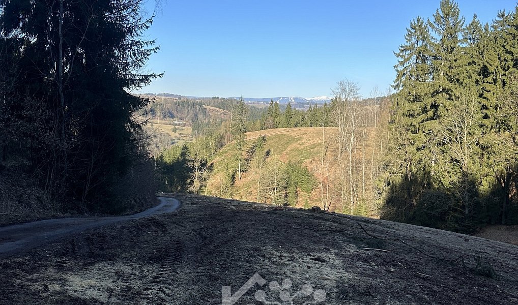 Prodej louky 15 029 m², Bozkov – náhled fotky 9