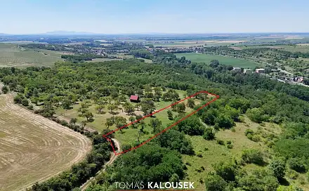 Prodej zahrady 4 478 m², Dolní Kounice, okres Brno-venkov