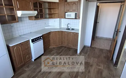 Pronájem bytu 1+1 45 m²