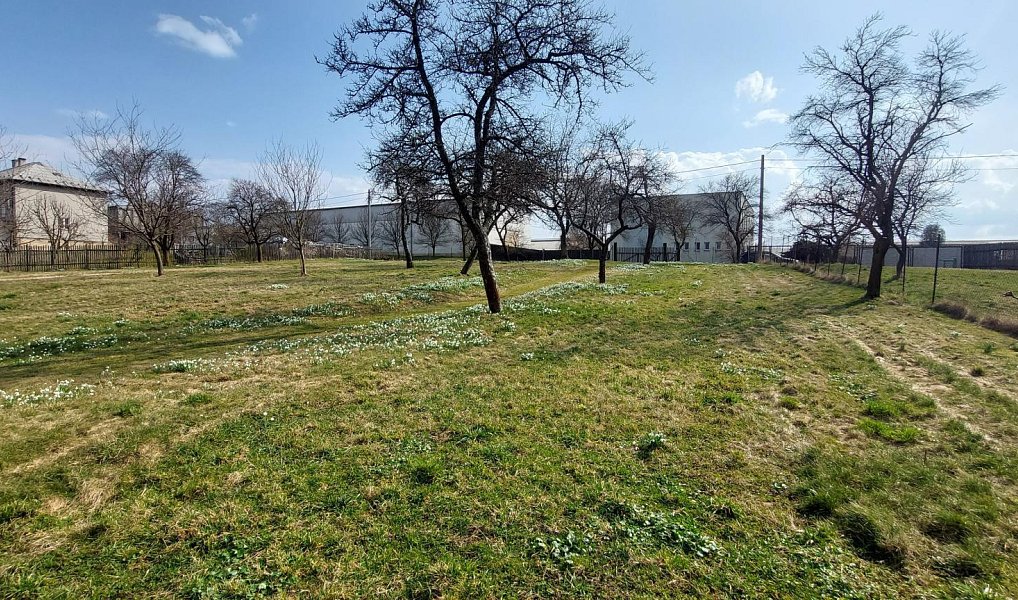 Prodej stavebního pozemku 1 563 m², Lešná – náhled fotky 10
