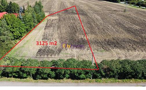 Prodej stavebního pozemku 3 125 m², Dobrovice, okres Mladá Boleslav