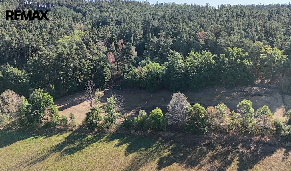 Prodej louky 5 943 m², Mičovice – náhled fotky 6