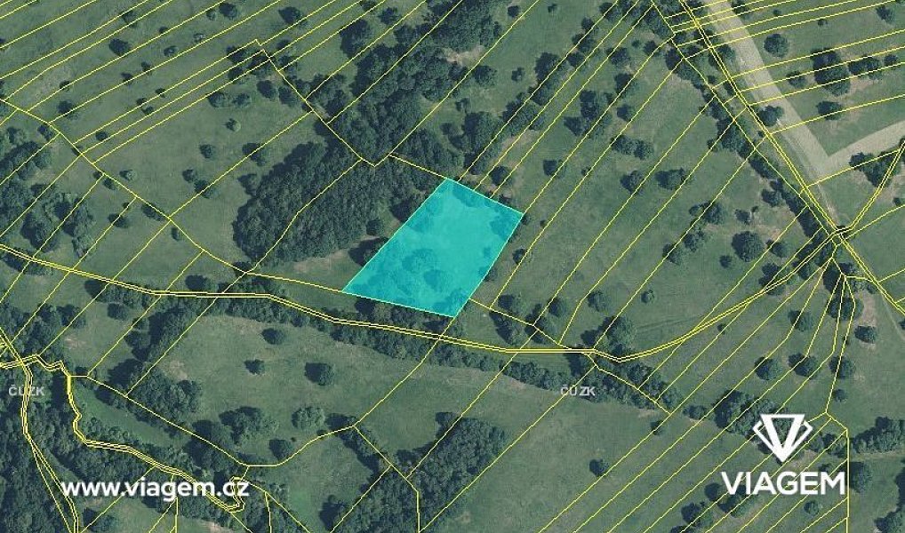 Prodej pole 5 305 m², Kněždub – náhled fotky 3