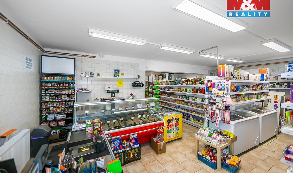 Prodej domu 197 m² s pozemkem 220 m², Bor – náhled fotky 19