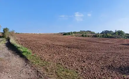 Dražba pole 50 474 m², Třebíz, okres Kladno