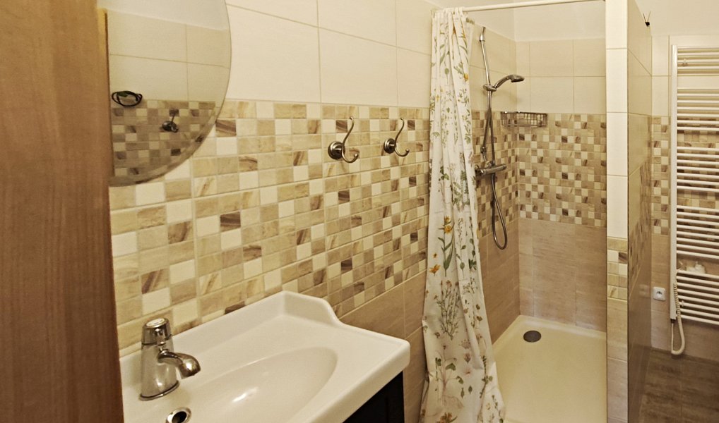 Pronájem domu 110 m² s pozemkem 21 000 m², Sněžné – náhled fotky 13