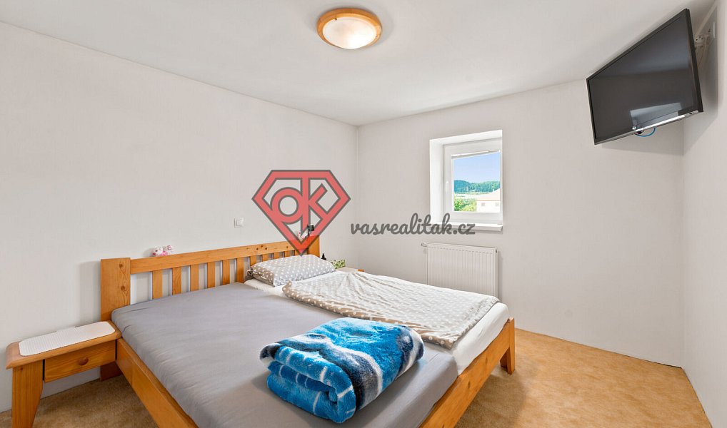 Prodej domu 201 m² s pozemkem 602 m², Orlické Podhůří – náhled fotky 20