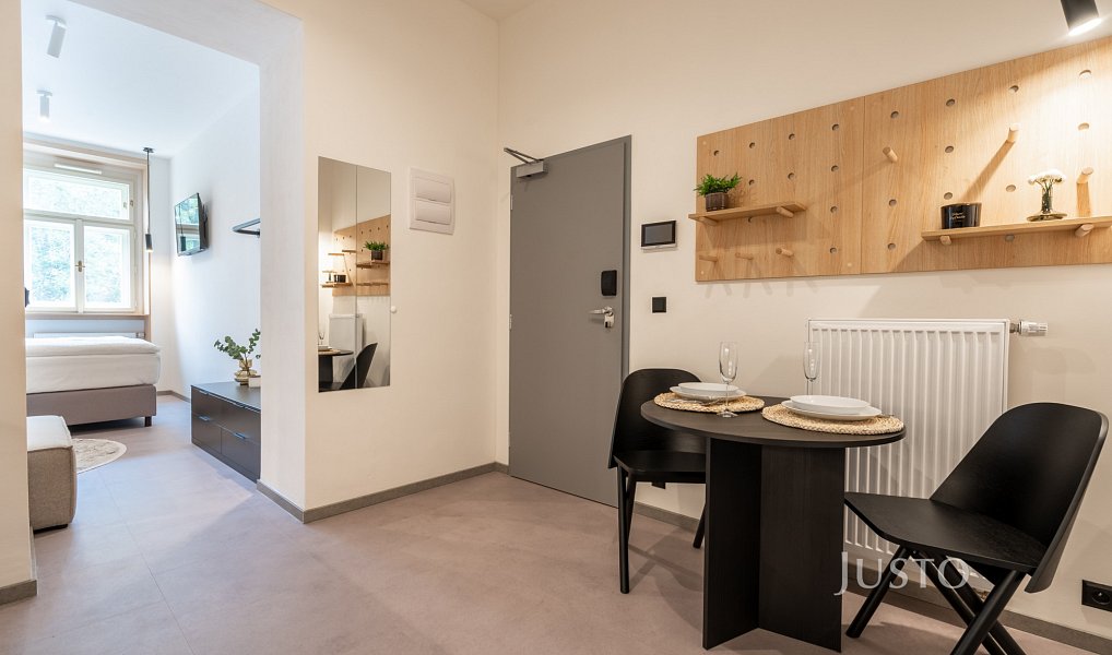 Prodej bytu 1+kk 27 m², Praha – náhled fotky 8