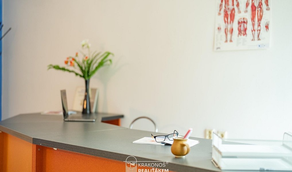 Pronájem komerčního objektu (jiného typu) 96 m², Hranice – náhled fotky 18