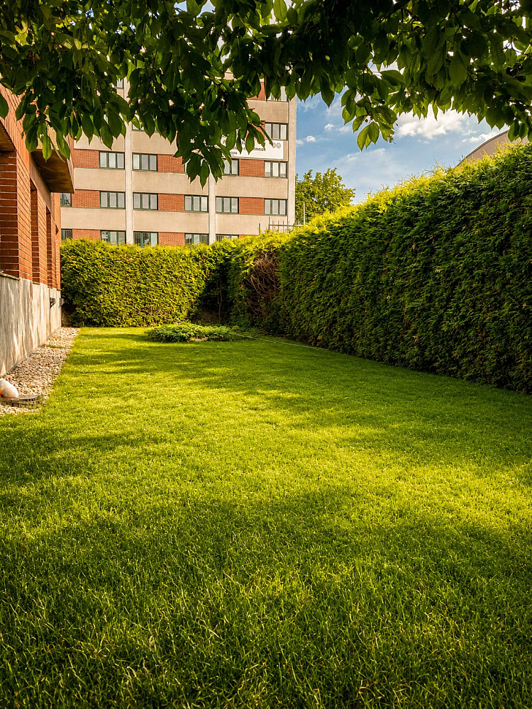 Prodej bytu 4+1 123 m² – fotografie 5