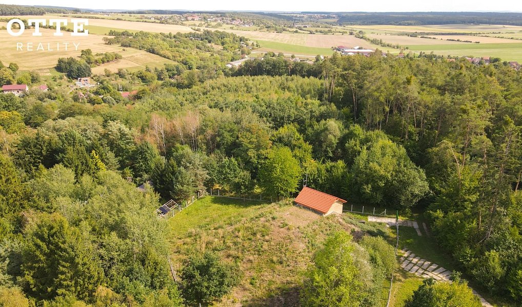 Prodej lesa 985 653 m², Žerčice – náhled fotky 8