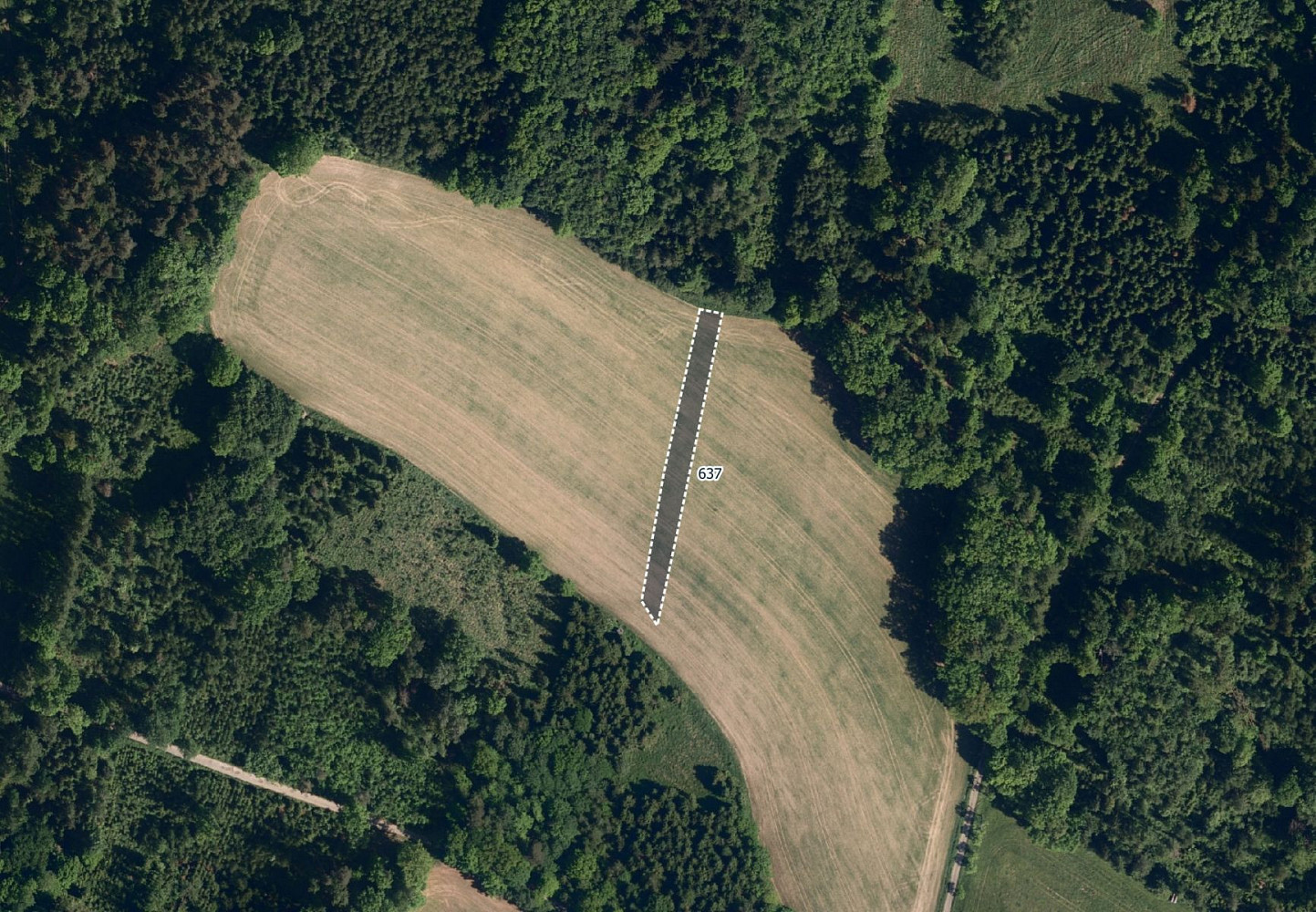 Prodej pole 19 895 m² — photo 4