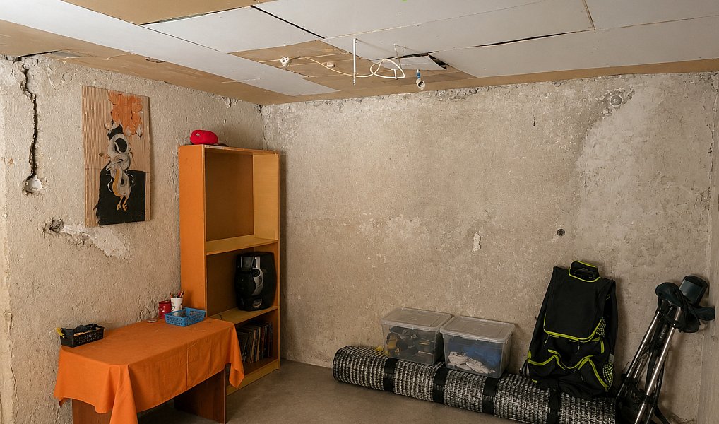 Prodej domu 85 m² s pozemkem 428 m², Netřebice – náhled fotky 13