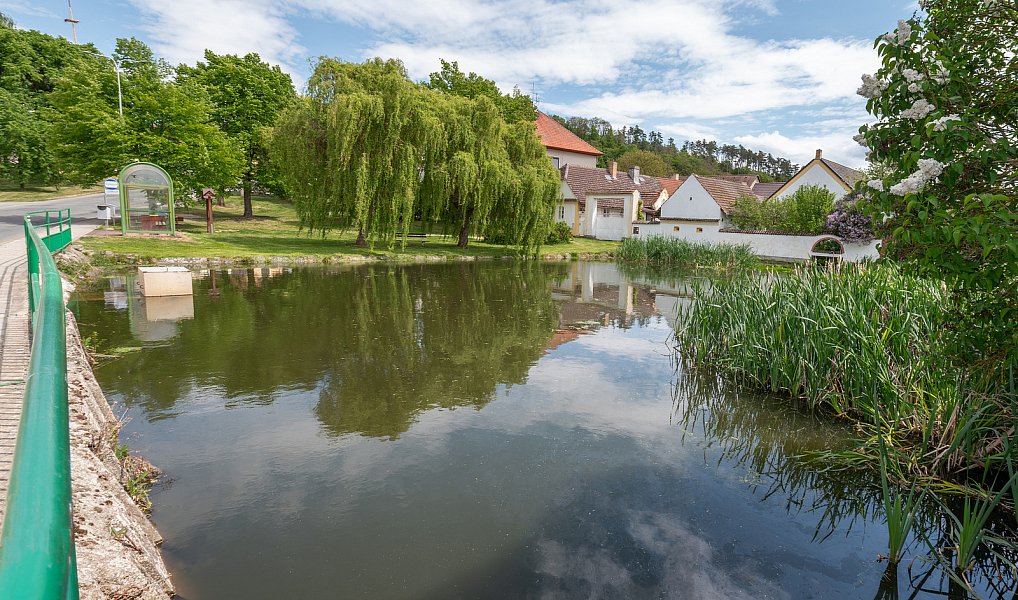 Prodej domu 80 m² s pozemkem 271 m², Roupov – náhled fotky 21
