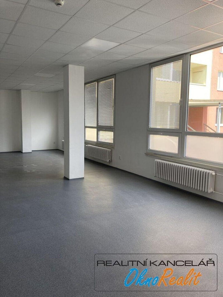 Pronájem obchodních prostor 255 m² – fotografie 3