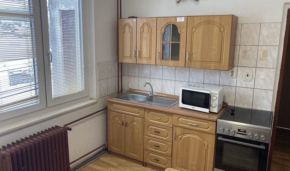 Pronájem pokoje 12 m², Bor – náhled fotky 4