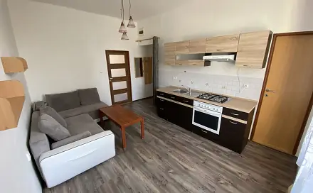 Pronájem bytu 1+1 41 m², Boženy Němcové, Prostějov