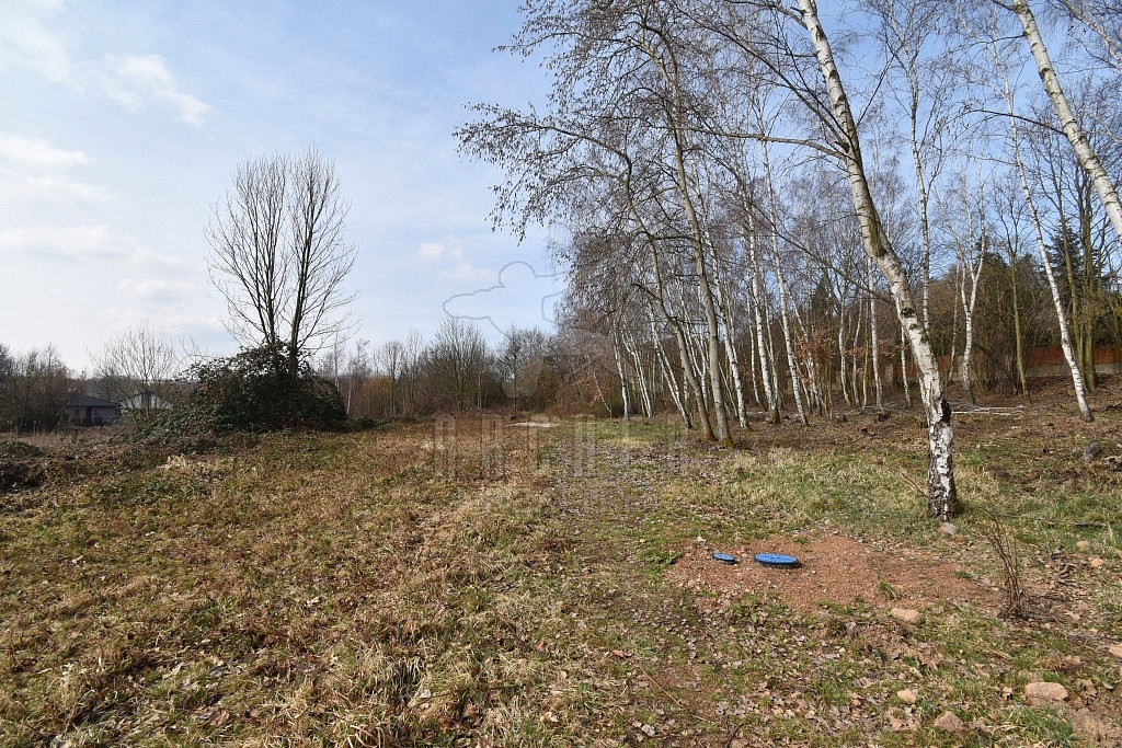 Prodej stavebního pozemku 6 184 m² – fotografie 4