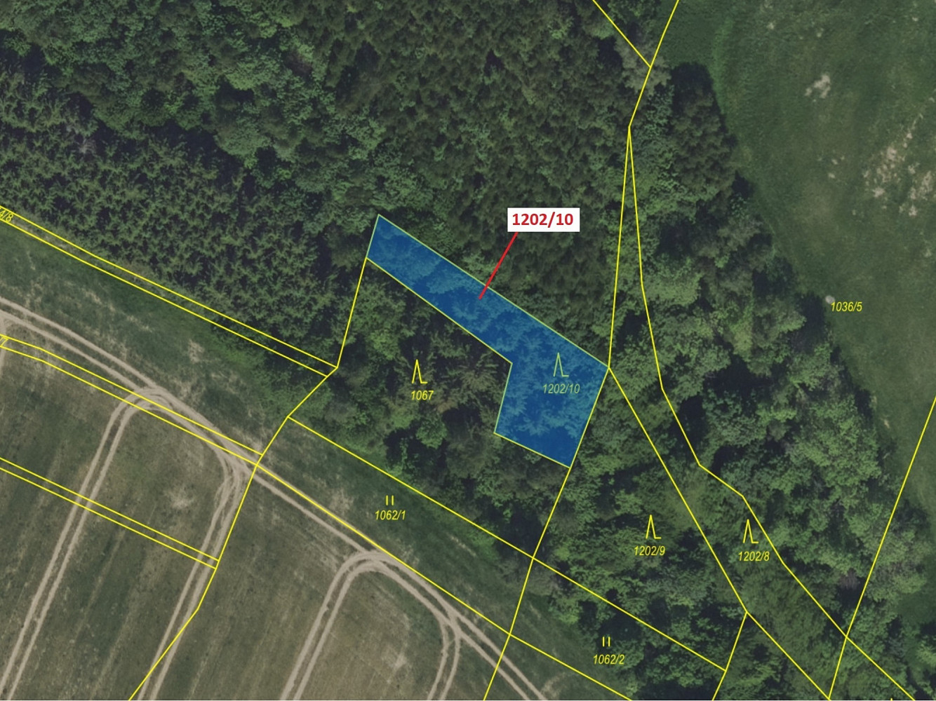 Dražba lesa 557 m² — photo 2