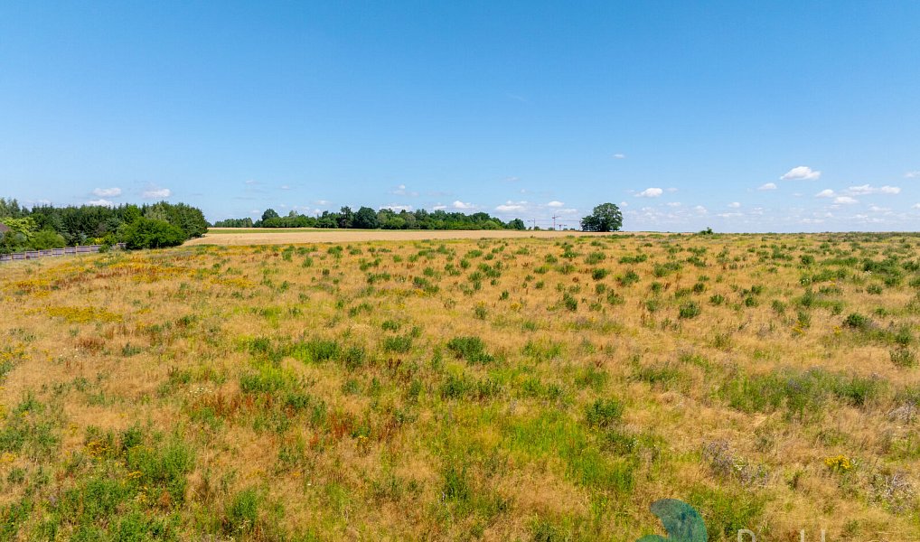 Prodej stavebního pozemku 1 002 m², Litvínovice – náhled fotky 19