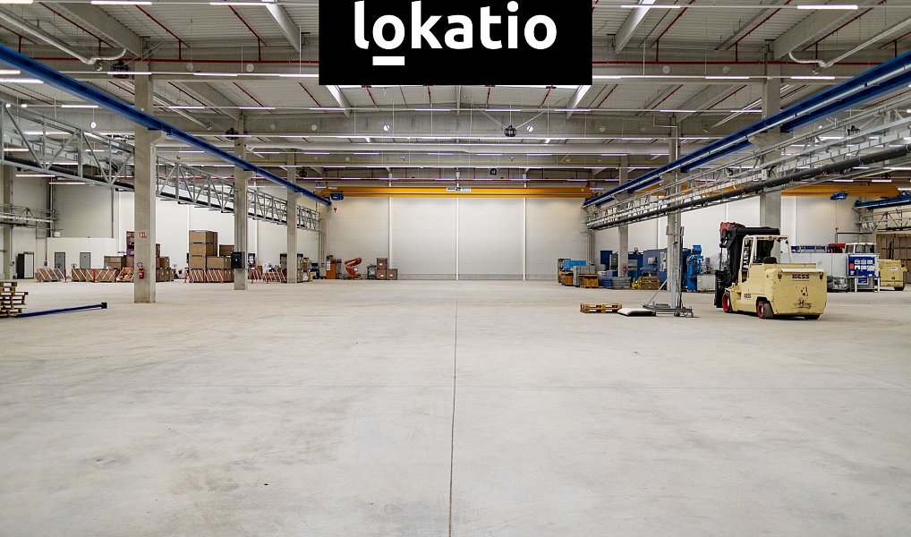 Pronájem skladovacích prostor 14 000 m², Cerhovice – náhled fotky 6