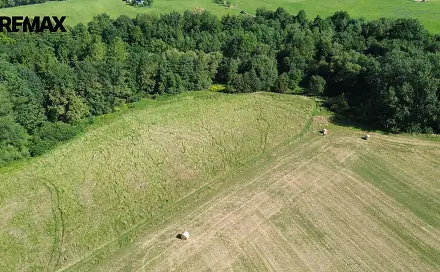 Prodej pozemku 7 771 m², Sedliště, okres Frýdek-Místek