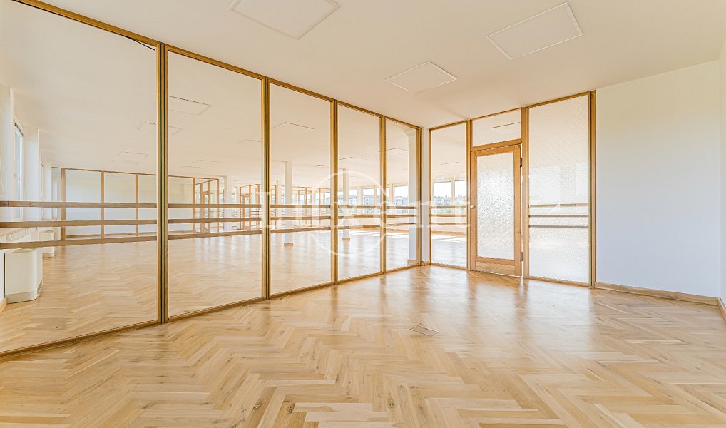 Pronájem kanceláře 257 m², Praha – náhled fotky 9