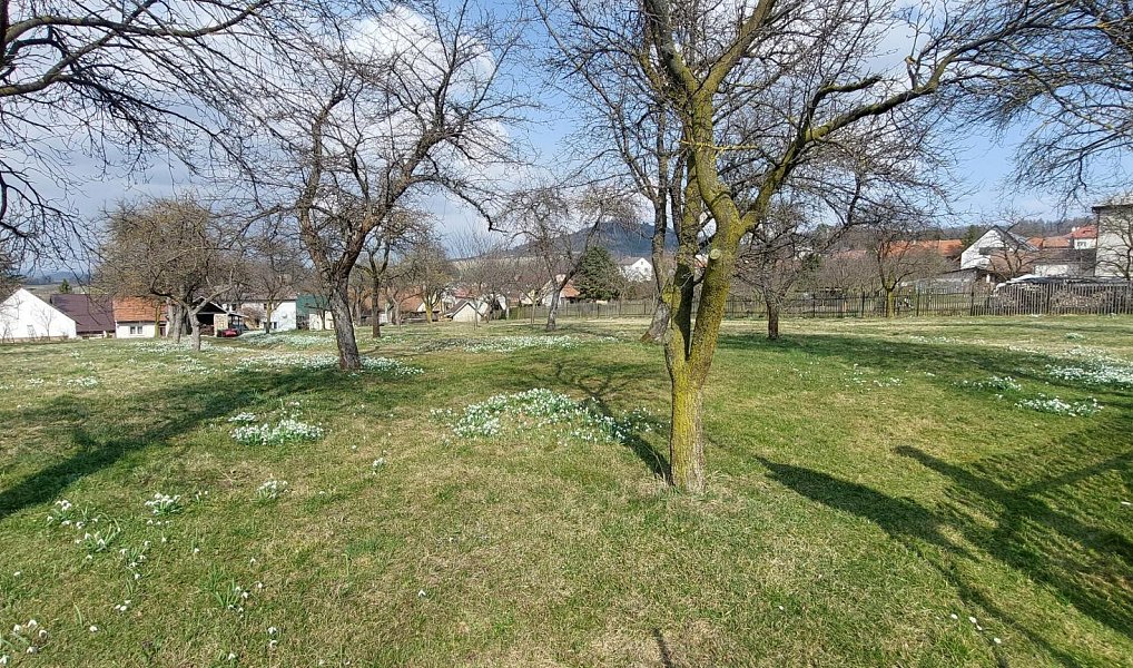 Prodej stavebního pozemku 1 563 m², Lešná – náhled fotky 15