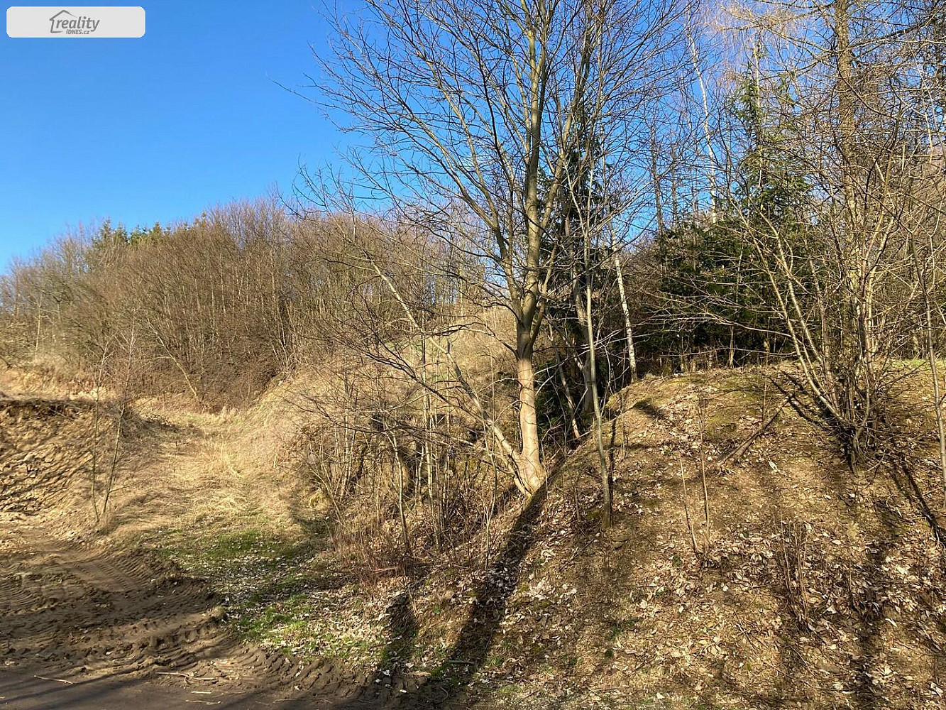Prodej pozemku 1 332 m² – fotografie 3