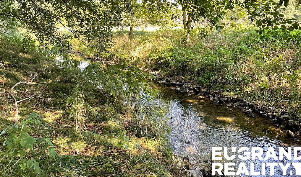 Prodej louky 14 798 m², Šluknov – náhled fotky 6
