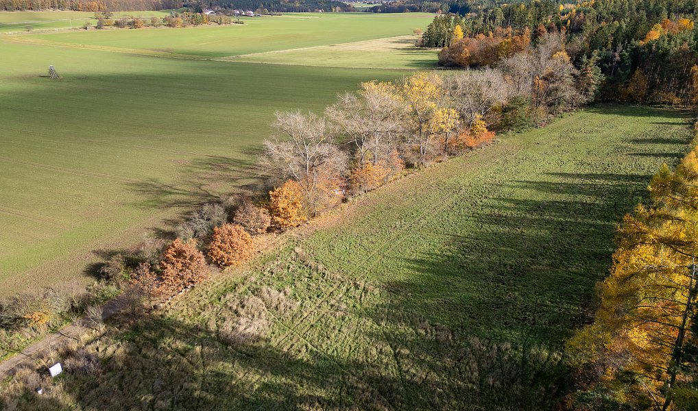 Prodej stavebního pozemku 1 217 m², Daleké Dušníky – náhled fotky 13
