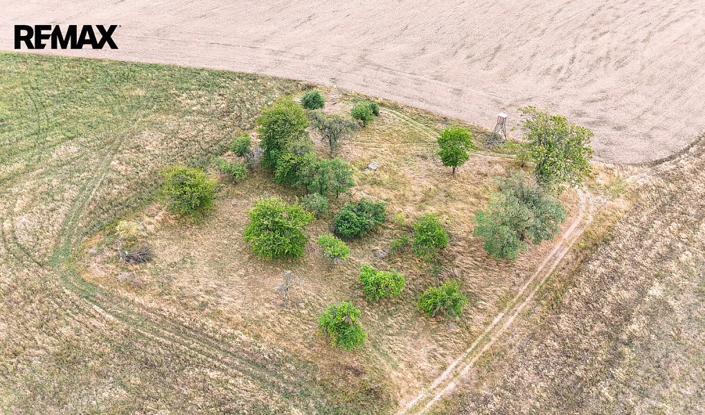 Prodej stavebního pozemku 3 633 m², Ošelín – náhled fotky 6