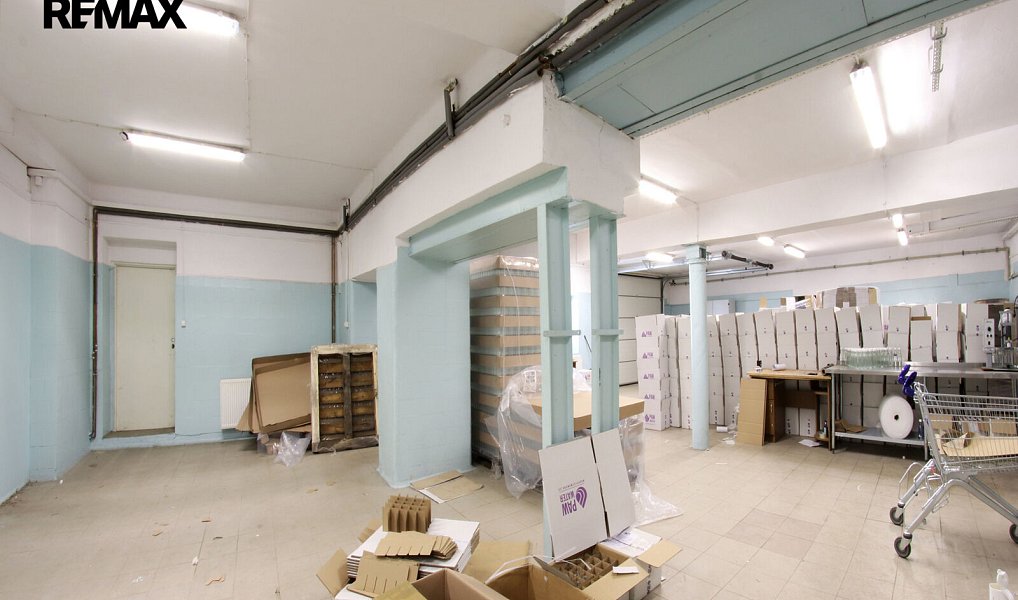 Prodej výrobních prostor 6 613 m², Petrovice u Karviné – náhled fotky 15