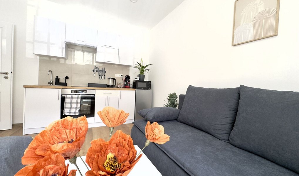 Pronájem bytu 1+kk 28 m², Liberec – náhled fotky 4