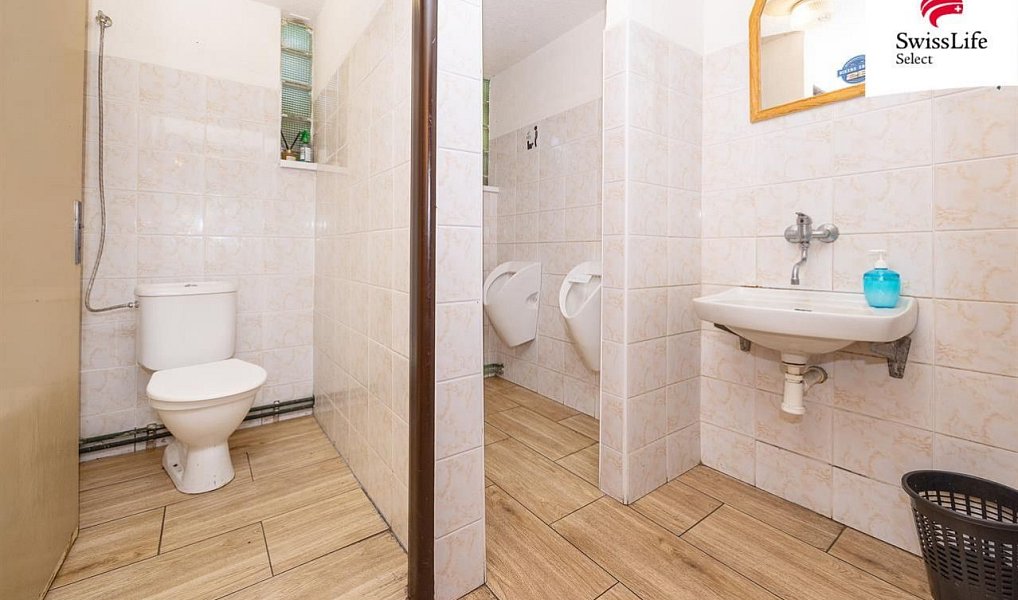Prodej komerčního objektu (jiného typu) 253 m², Holice – náhled fotky 8