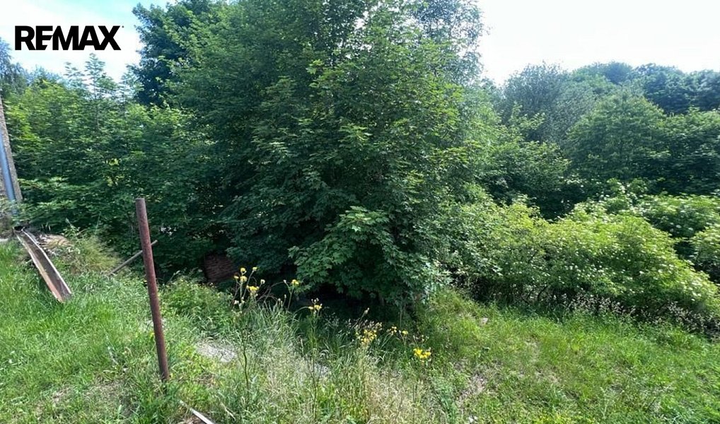 Prodej zahrady 1 818 m², Chodová Planá – náhled fotky 5